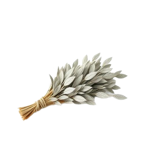 White Sage